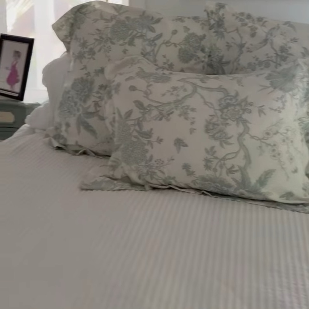 Pottery Barn Duvet Cover with 2 king pillowcases. Pillow cases are white